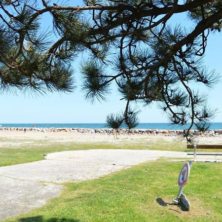 Appartement Cosy Avec Mezzanine, 6 Couchages, A 500M De La Mer - St Cyprien - Fr-1-225D-168 Saint-Cyprien  Zewnętrze zdjęcie